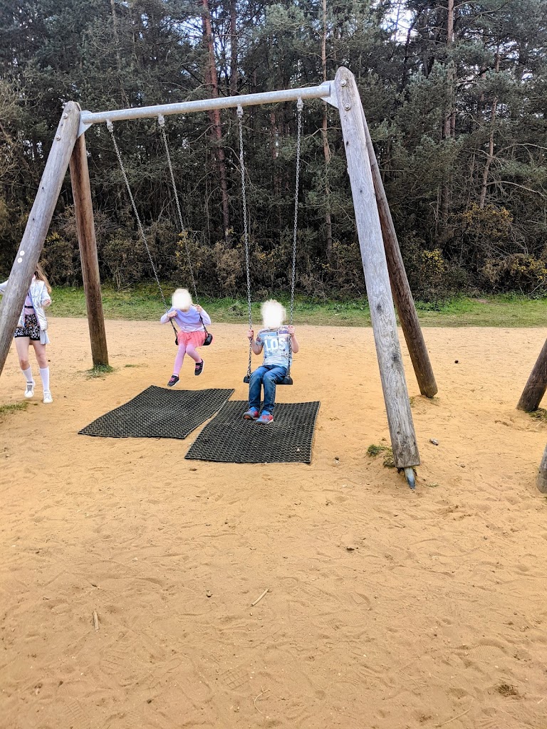 Hogmoor Inclosure Natural Play Area - Foto 1