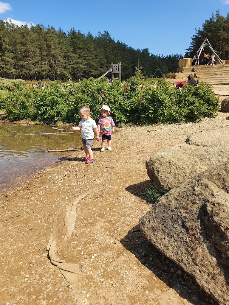 Hogmoor Inclosure Natural Play Area - Foto 8
