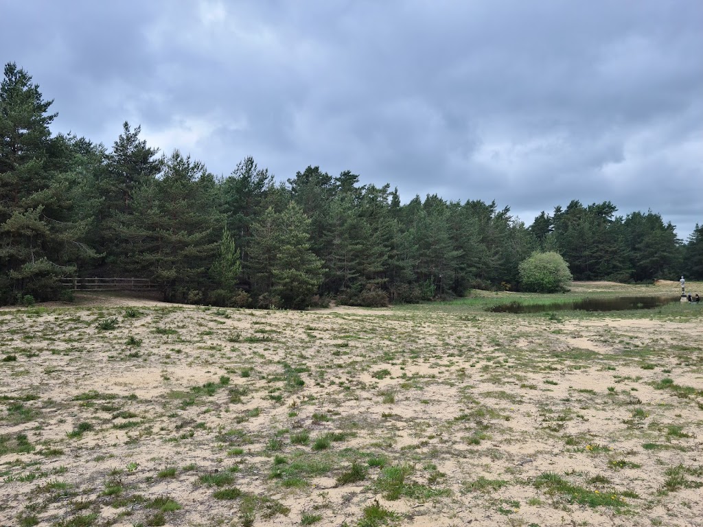 Hogmoor Inclosure Natural Play Area - Foto 1