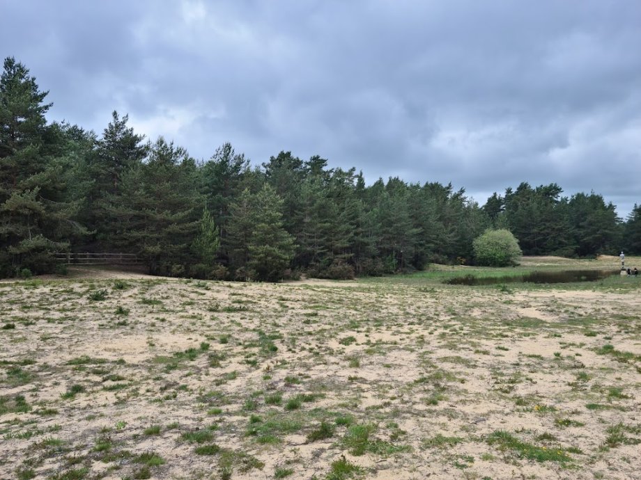 Hogmoor Inclosure Natural Play Area - Foto 9