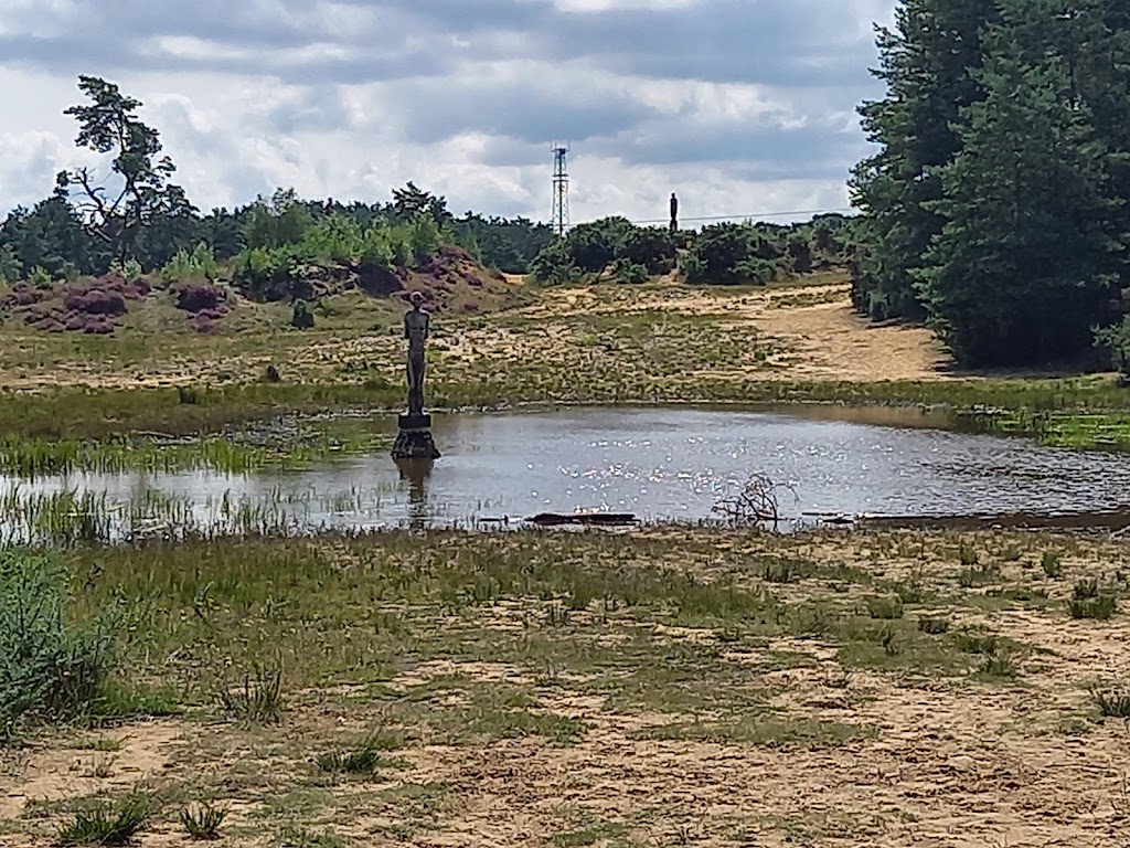 Hogmoor Inclosure Natural Play Area - Foto 1