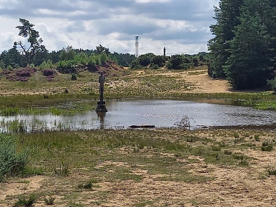 Hogmoor Inclosure Natural Play Area - Foto 10