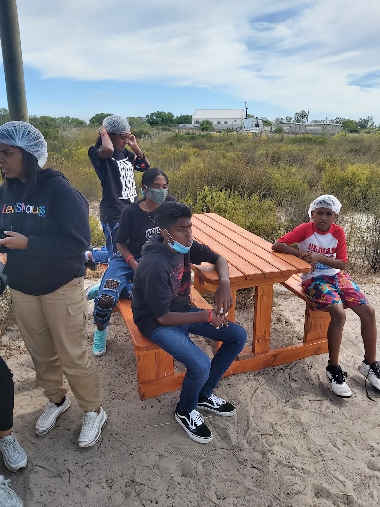 Wacky Adventures - Foto 8