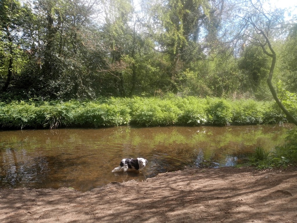 Jocks Lane Recreation Ground - Foto 1