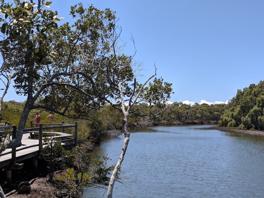 Nudgee Beach Reserve - Foto 4