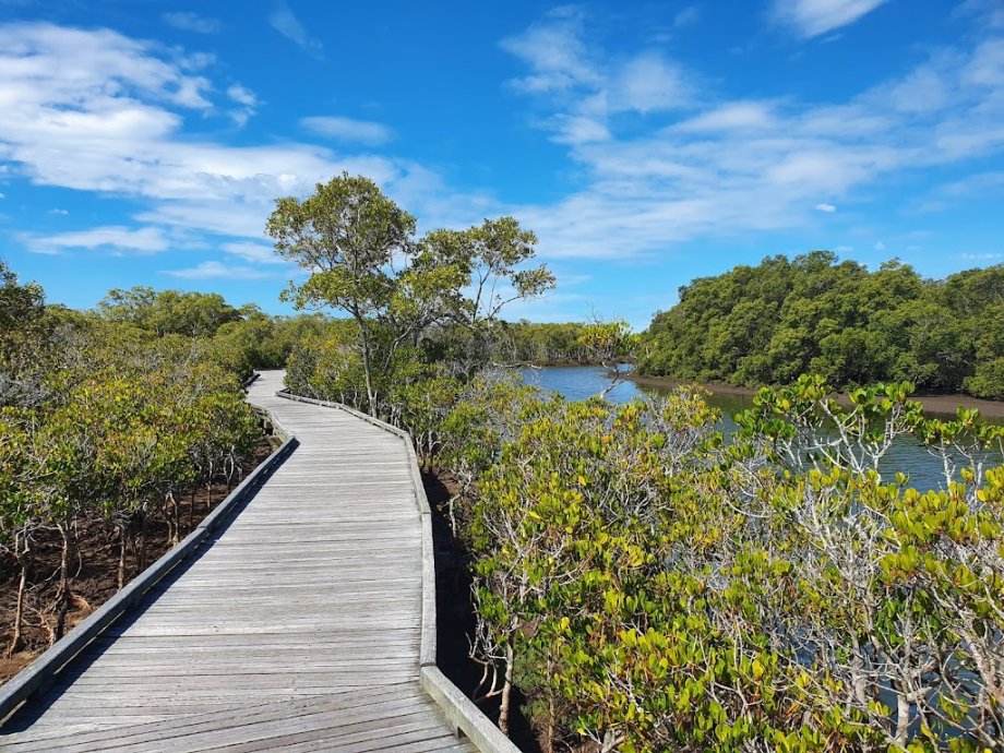 Nudgee Beach Reserve - Foto 6