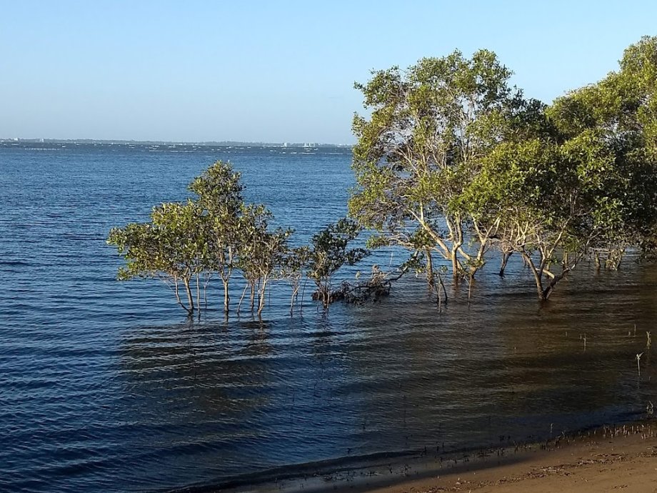 Nudgee Beach Reserve - Foto 7