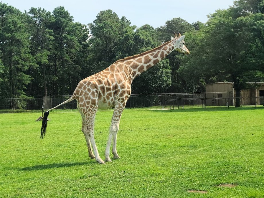 Six Flags Great Adventure - Foto 5