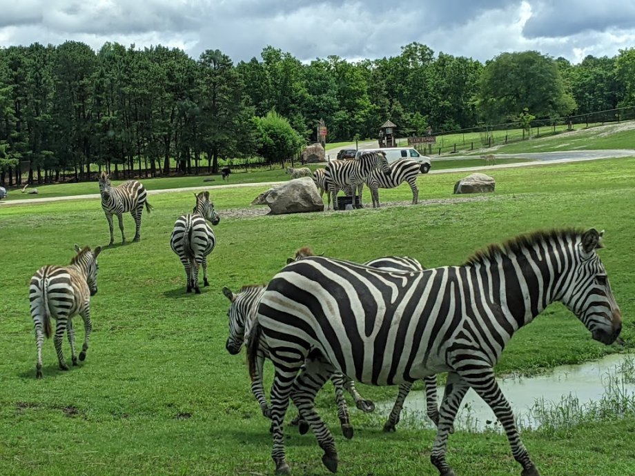 Six Flags Great Adventure - Foto 7