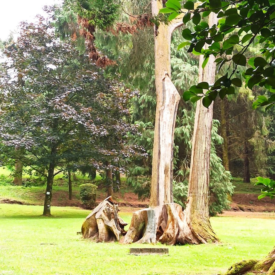 Castillo de Soutomaior - Foto 5