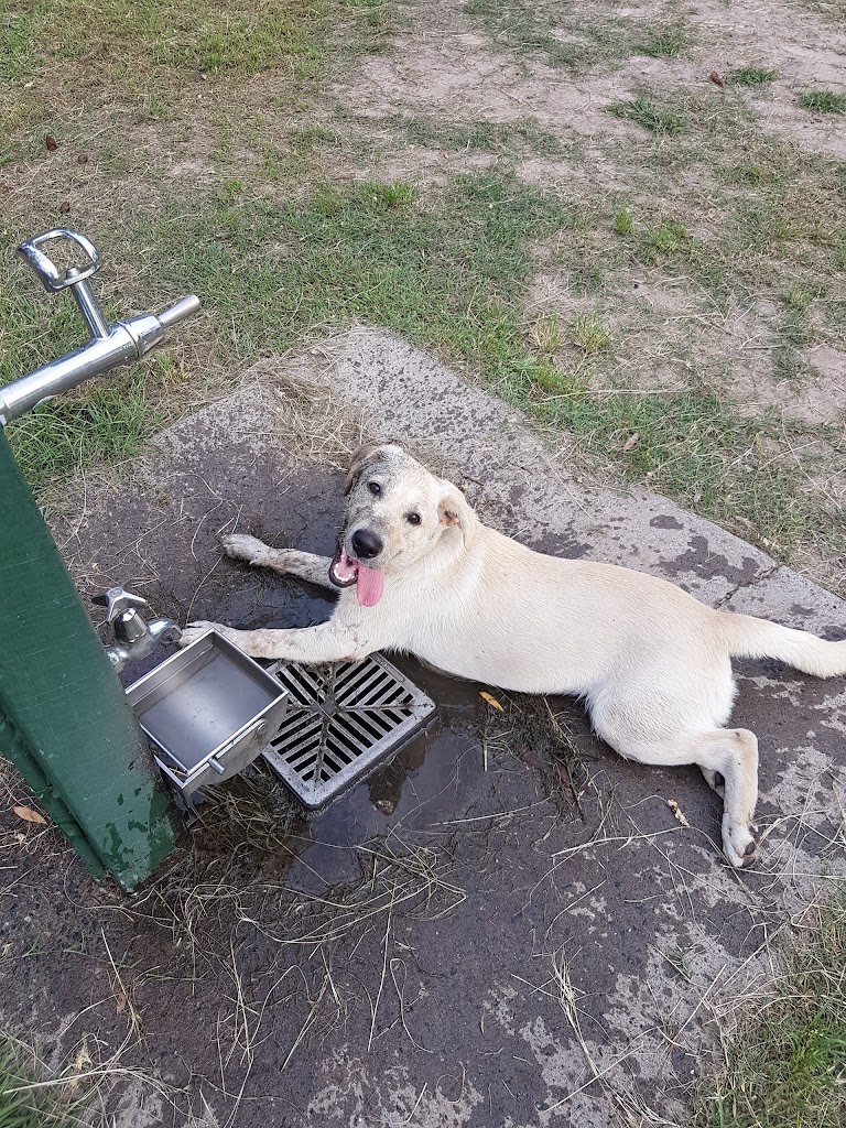 Gus Davies Park - Foto 5