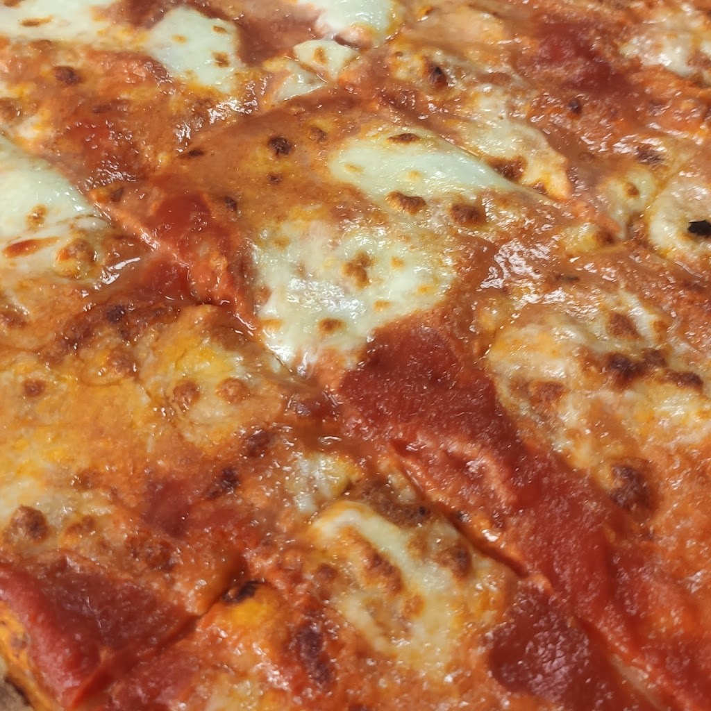 Sharkland RistoFamily 4