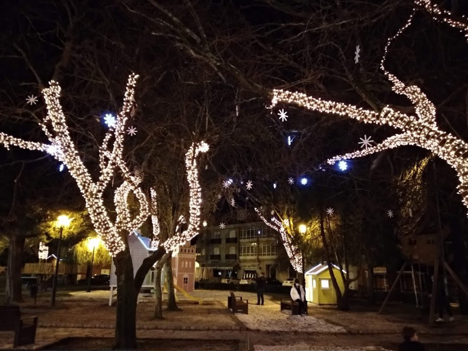 Xardín Umbrío - Foto 8