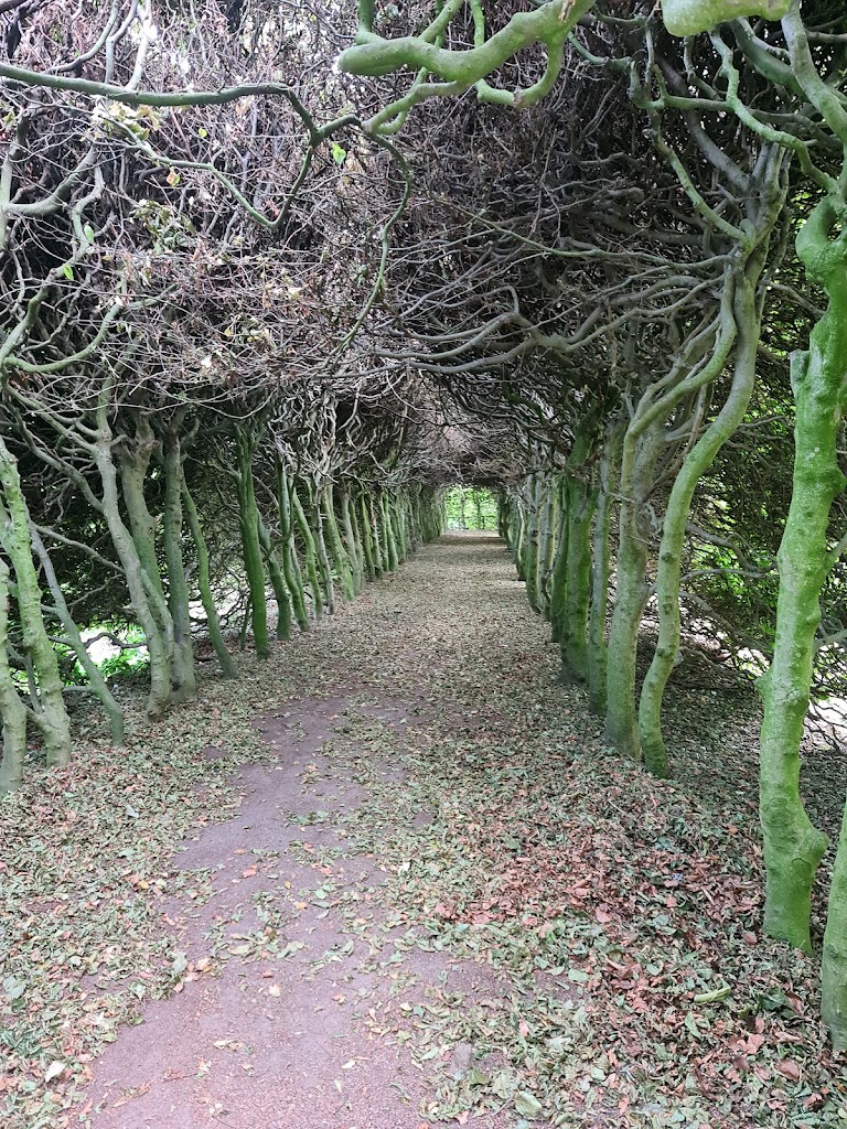 Pildammsparken - Foto 7