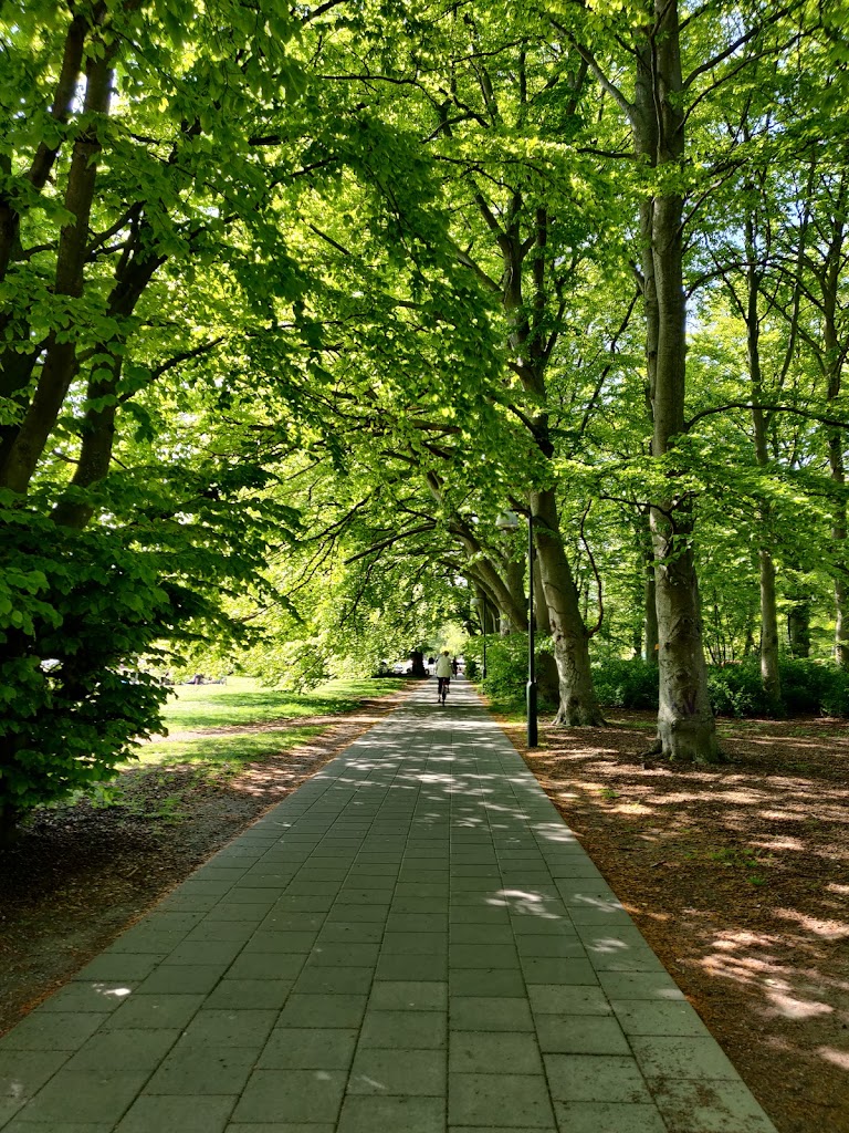 Pildammsparken - Foto 1