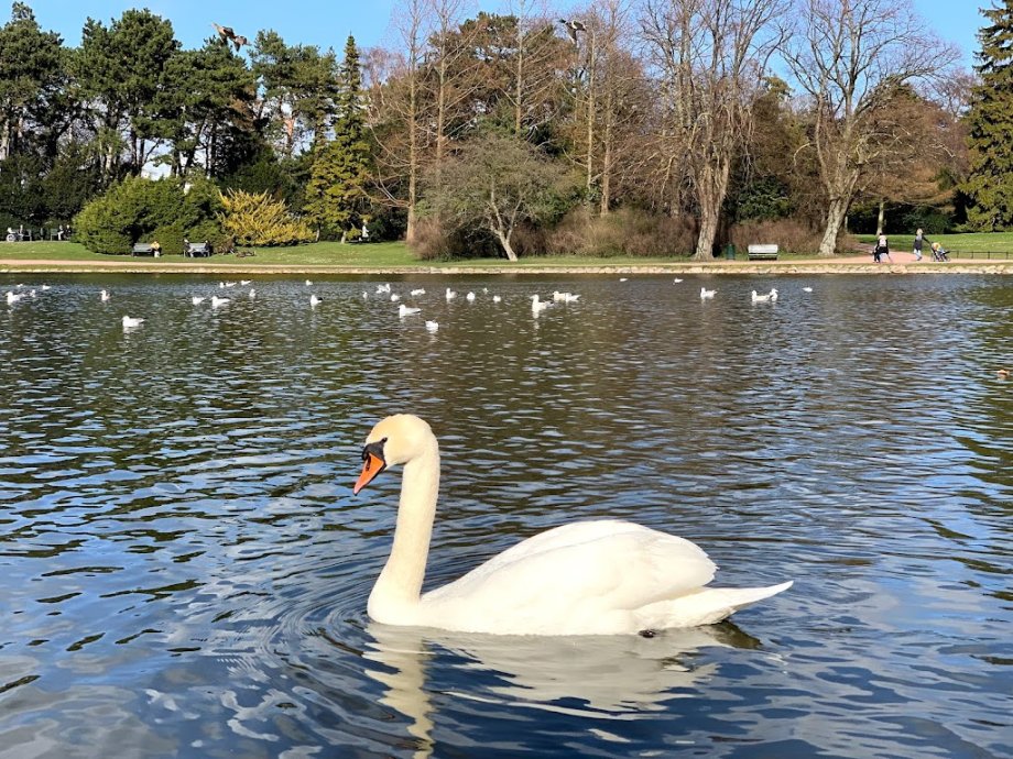 Sagolekplatsen - Foto 8