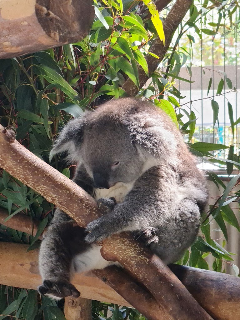 Perth's Outback Splash - Foto 4