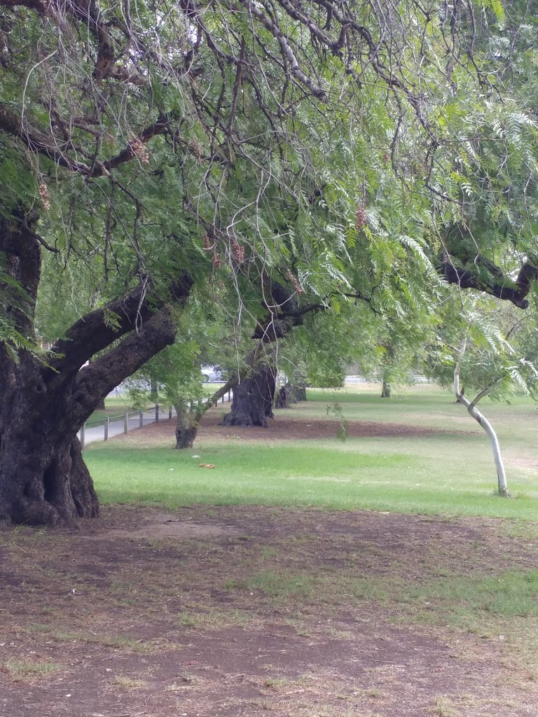 Woodlands Park - Foto 8