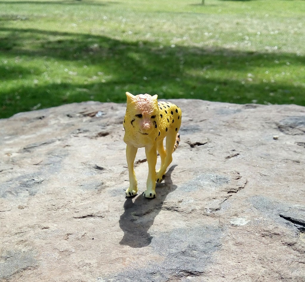 Woodlands Park - Foto 1