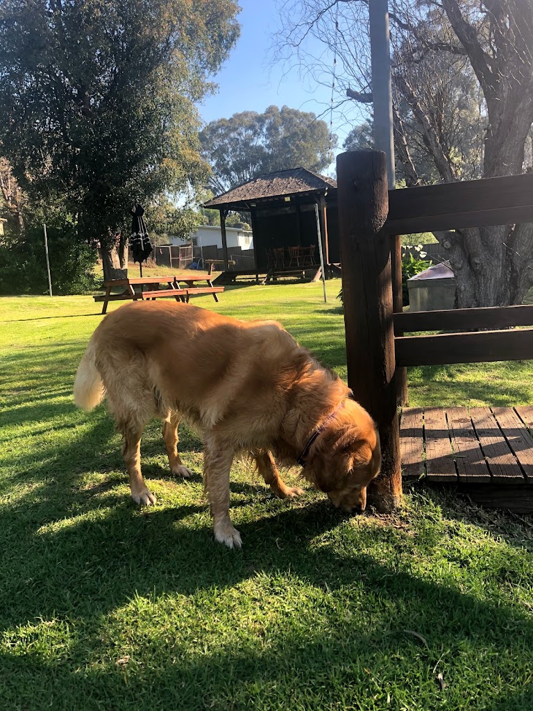 Mount Helena Tavern - Foto 1