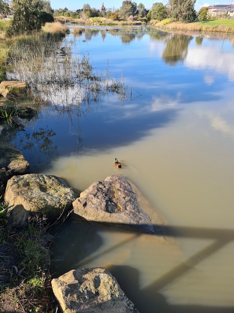 Livvi's Place Casey - Foto 8