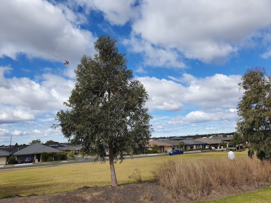 Livvi's Place Playground - Foto 4