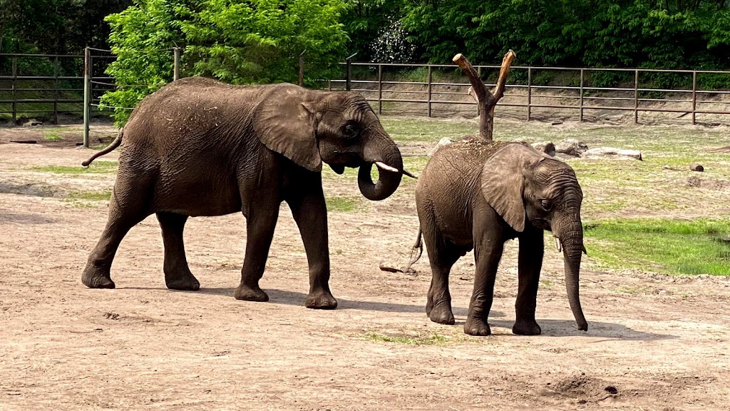 Serengeti Park Hodenhagen - Foto 1