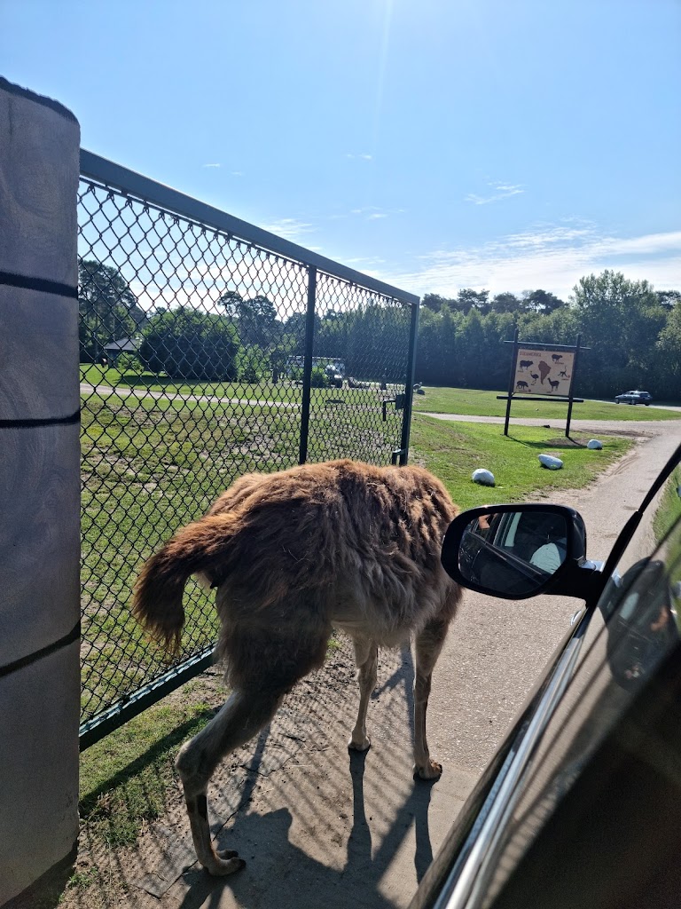 Serengeti Park Hodenhagen - Foto 1