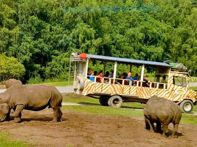 Serengeti Park Hodenhagen
