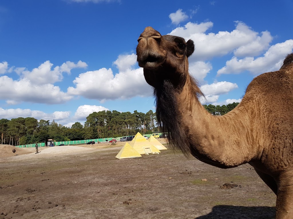 Serengeti Park Hodenhagen - Foto 1