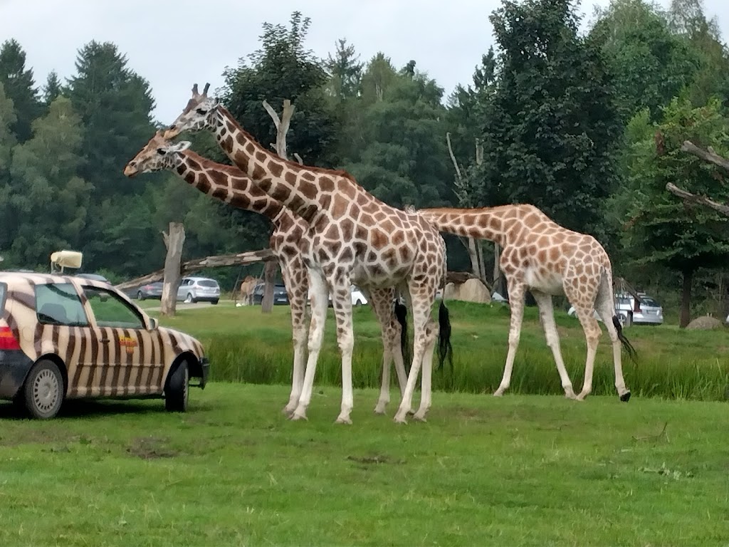 Serengeti Park Hodenhagen - Foto 1