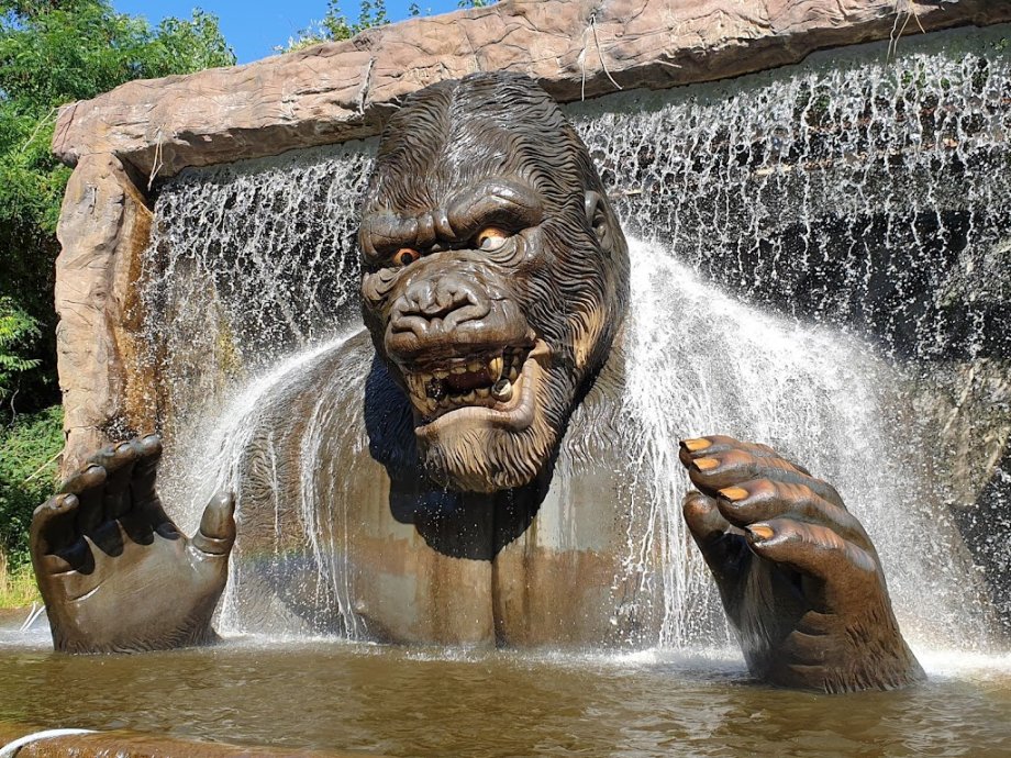 Serengeti Park Hodenhagen - Foto 9