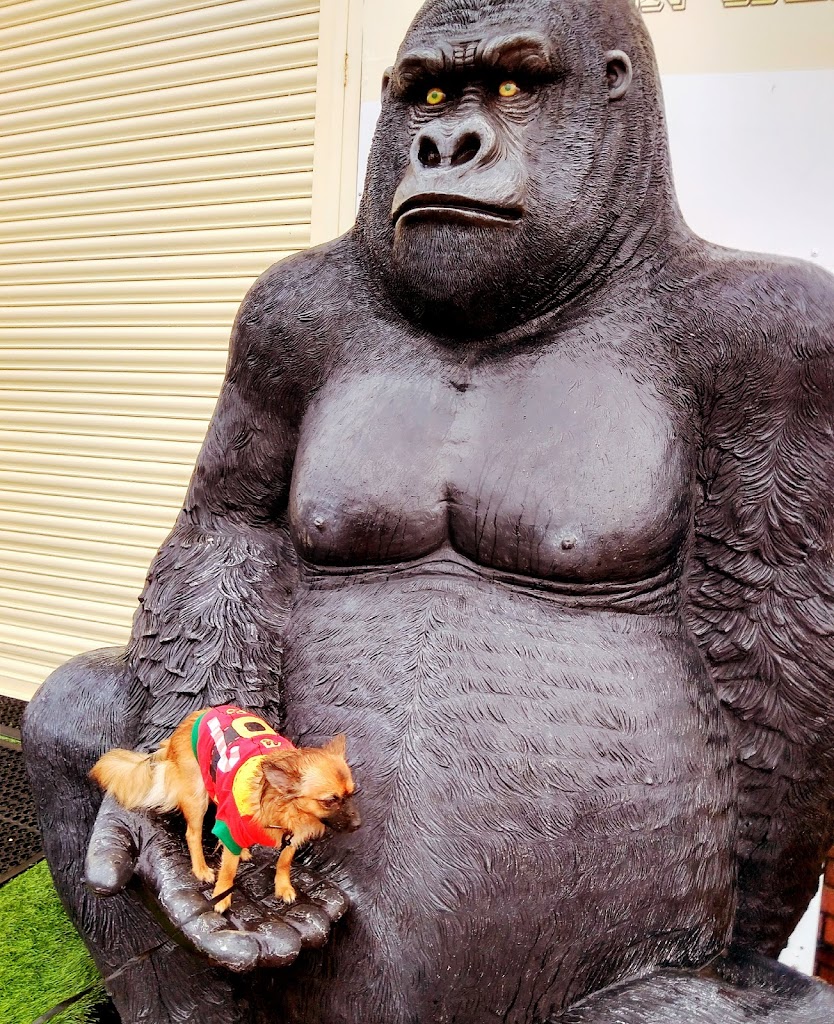 Barry Island Pleasure Park - Foto 7