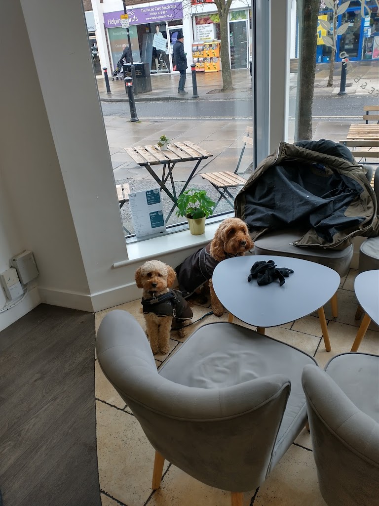 Laughing Llama Coffee & Bistro - Foto 1