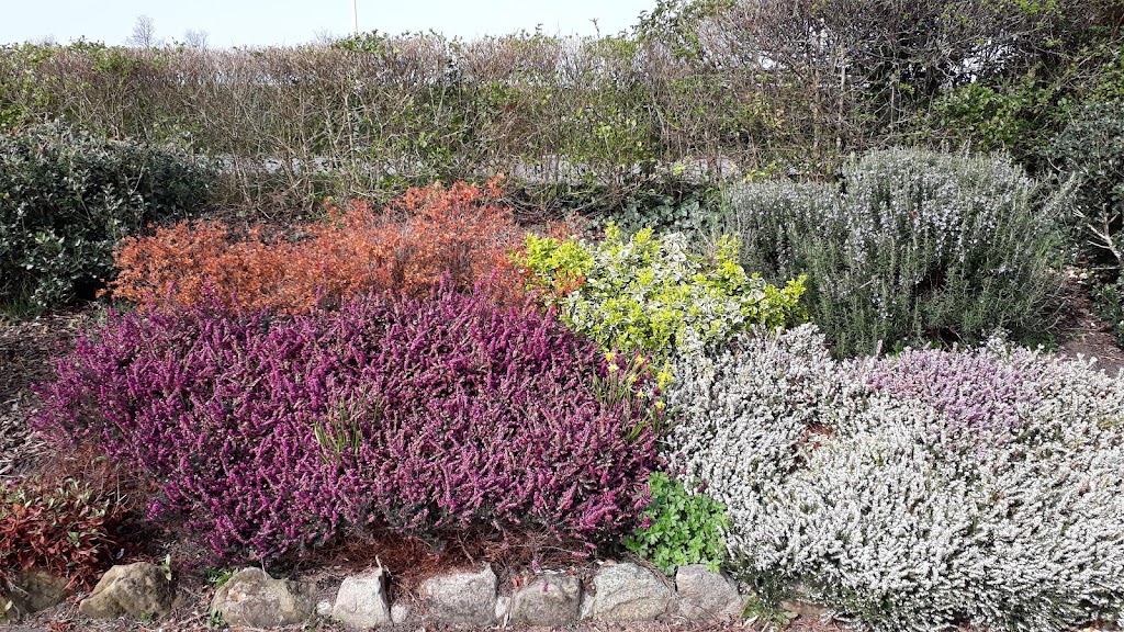 King's Gardens - Foto 1