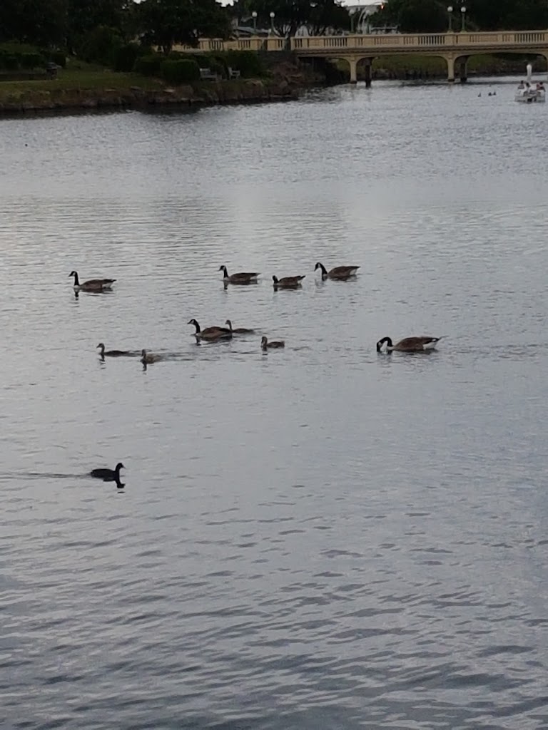 King's Gardens - Foto 1