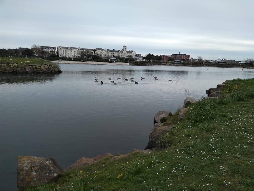 King's Gardens - Foto 1