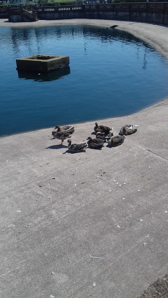 King's Gardens - Foto 1