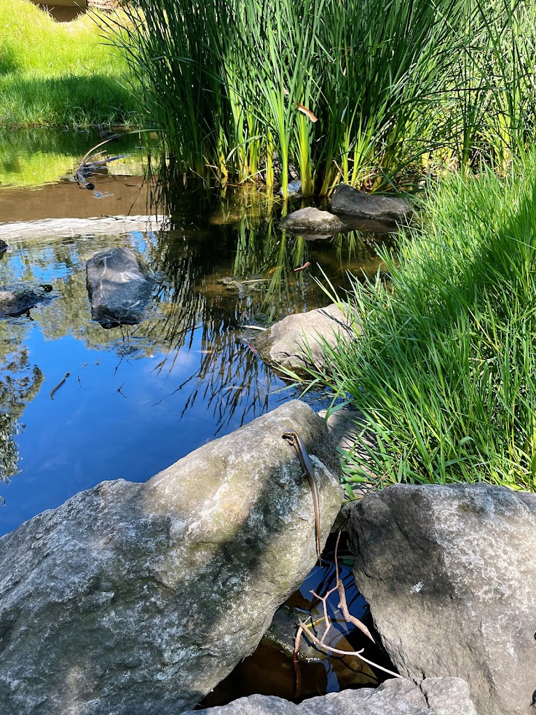 Dunstan Adventure Playground - Foto 3