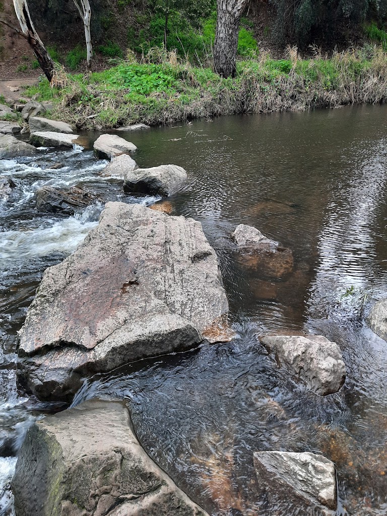 Dunstan Adventure Playground - Foto 4