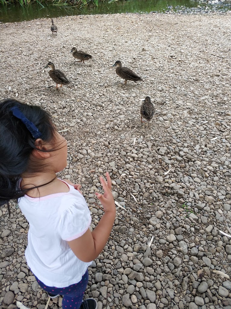 Dunstan Adventure Playground - Foto 6