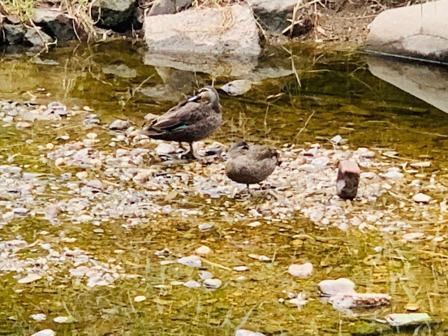 Dunstan Adventure Playground - Foto 8