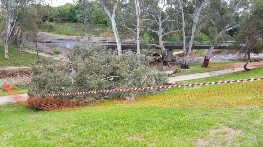 Dunstan Adventure Playground - Foto 9