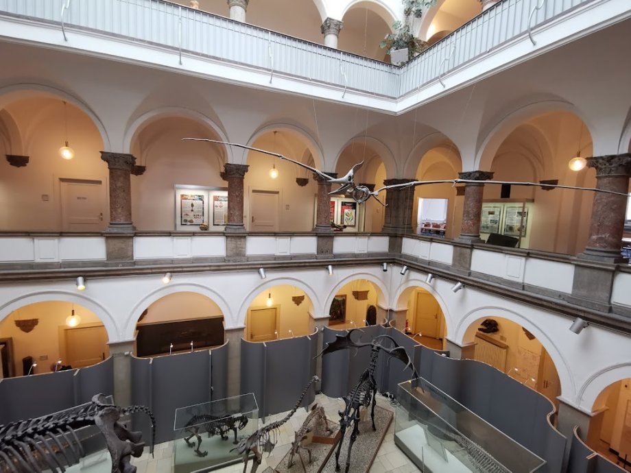 Palaeontological Museum, Munich - Foto 5