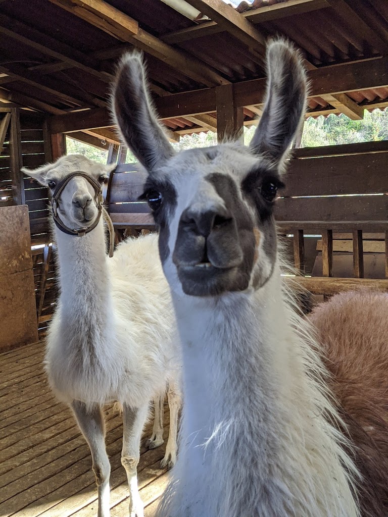 Wallaby Lodge & Camp - Foto 1