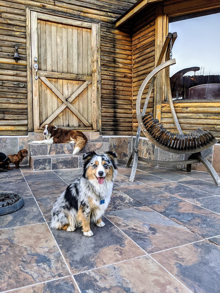 Wallaby Lodge & Camp - Foto 4