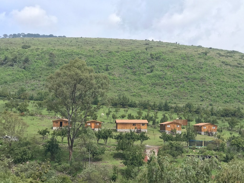 Wallaby Lodge & Camp