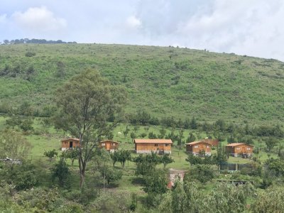 Wallaby Lodge & Camp