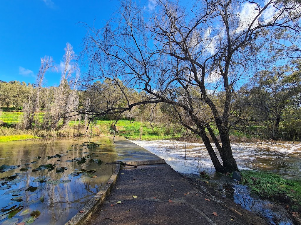 Avocados Café - Foto 1
