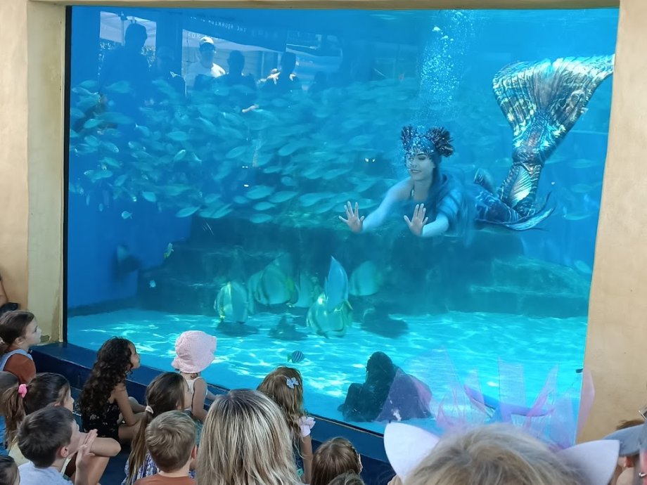 AQWA The Aquarium Of Western Australia - Foto 6